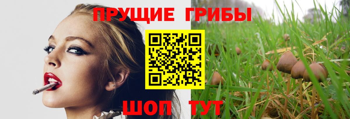 Псилоцибиновые грибы MAGIC MUSHROOMS Новоалтайск